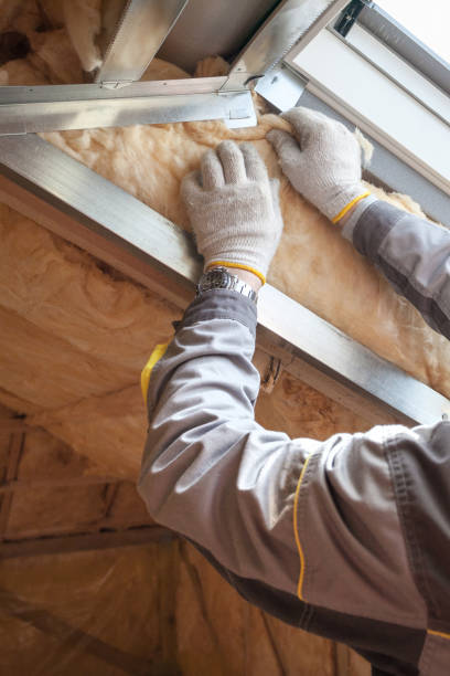 Best Residential Insulation in Oxford, MI