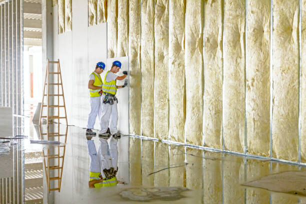Best Commercial Insulation in Oxford, MI
